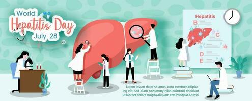 Concept of hepatitis A, B, C, D, and world hepatitis day campaign's poster with group of doctors treat the liver in banner and vector design.