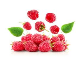 Fresh raspberries. Flying berries isolated on white background. photo