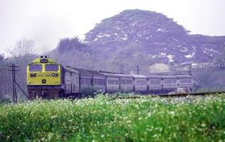 diesel train runs photo