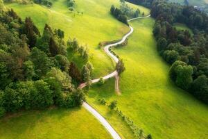 Aerial view of road in green alpine meadows and hills at sunset photo