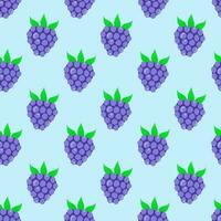 Blackberry seamless pattern with leaves. Blue background. Vector design.