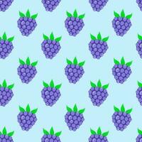 Blackberry seamless pattern with leaves. Blue background. Vector design.