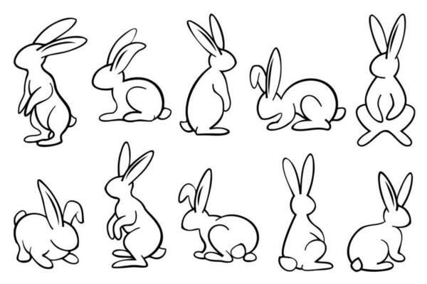 Line art bunnies illustration set. Cute rabbits with black thin line in different position. Adorable cute animals illustrations contour drawing.