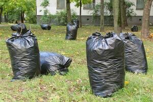 Black plastic bags full of autumn leaves. Large black plastic trash sacks with fallen dried leaves stand on the grass. Seasonal cleaning of city streets from fallen leaves. Cleaning service photo