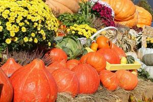 Colorful pumpkins at harvesting festival. Fresh organic nutrition. Farm market. Vegetarian, raw food, healthy lifestyle concept. photo