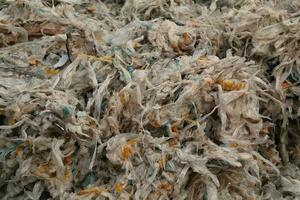 Waste recycling shredded plastic scrap pieces. Environmental concept. Eco-friendly lifestyle zero waste. Garbage sorting plant. Ecology reuse green world idea.Industry reduced pollution factory photo