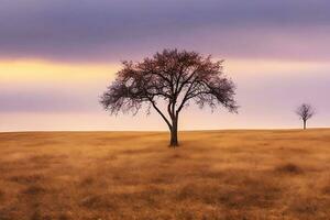 Free Lone tree photo