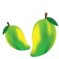 realistic mango vector Free Vector