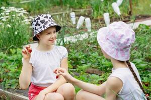 Two girls show each other picked strawberries in a rustic garden photo