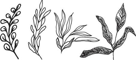 Minimalism vector branches. Graphic leaves for tattoos, invitations. black and white leaves. Set line art. Vector illustration of autumn leaves.