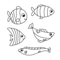 Vector set of sea fish cartoon illustration on white background. Flat simple aquarium fish icon