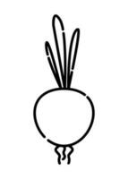 Onion black and white vector line icon