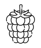 Raspberry black and white vector line icon