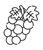 manojo de uvas negro y blanco vector línea icono