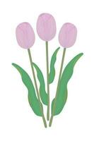 Three pink tulips with leaves, colorful illustration vector