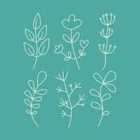 Flowers , leaves, branches outline drawings sketch, doodle.  Vector illustration on isolated background.