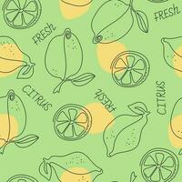 Vector pattern  citrus fruits. Seamless pattern. Drawings and lettering line art.