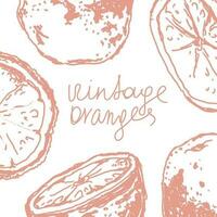 Orange in sketch style, banner background. vector