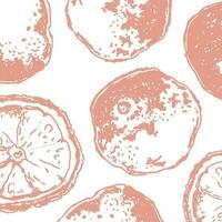 Orange in sketch style, banner background. vector