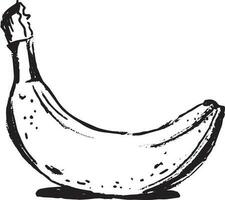 Banana in sketch style on white background. vector