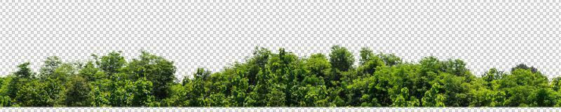 Green trees isolated on transparent background forest and summer foliage for both print and web with cut path and alpha channel photo