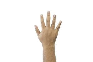 Close-up man's back of hand. Open outstretched hand, showing five fingers means number five, extended in greeting copy space isolated on white background. Space for text. photo
