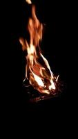 fuego fuego en el negro antecedentes. fuego en oscuridad. video