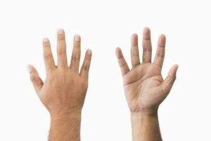 Close-up set man's palm and back of hand goodwill gesture. Open outstretched hand, showing five fingers, extended in greeting copy space isolated on white background. Space for text. photo