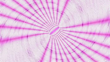 Pink moire circular gradient animation background. 2D rendering abstract background video