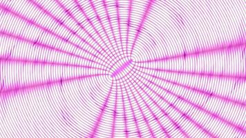 Pink moire circular gradient animation background. 2D rendering abstract background video