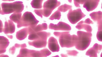 Pink glow caustic flow animation background. 2D computer rendering pattern video