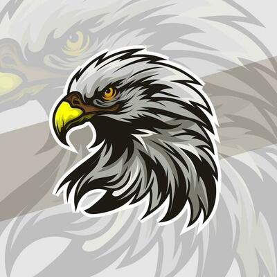 Eagle or hawk head mascot graphic gaming logo elegant element for brand eagle abstract symbols
