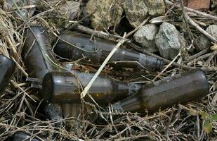 Empty bottles of beer tossed to the side of a road photo