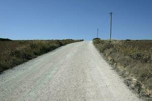 vacío la carretera con un poder línea y algunos polos siguiente a eso en un rural zona en Portugal foto