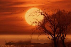 Dazzling orange sunset photo