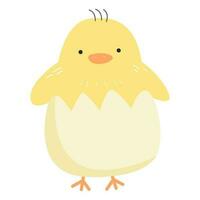 Cute little chicken coming out of egg. seamless pattern vector