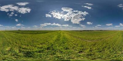 esférico 360 hdri panorama entre verde césped agricultura campo con nubes en azul cielo en equirrectangular sin costura proyección, utilizar como cielo reemplazo, juego desarrollo como cielo Hazme o vr contenido foto