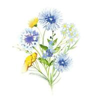 Bouquets with meadow  flowers and leaves. Watercolor vector