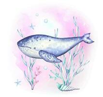 Watercolor composition with blue whale and algae vector