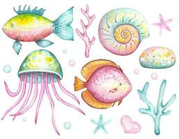 Sea set with a fish , algae, jellyfish, shells,  watercolor vector