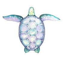 Watercolor  turtle. Blue and turquoise colors. vector