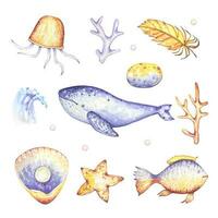 Sea set with a whale, algae, jellyfish, shells, fish, in purple and yellow tones, watercolor vector