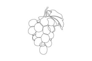 Single one line drawing fruits concept. Continuous line draw design graphic vector illustration.