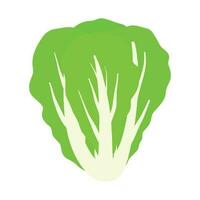 lechuga verde vegetal dibujos animados icono vector en dibujado a mano garabatear ilustración