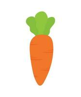 Fresh Carrot Fruit and Vegetable Doodle Cartoon Icon Vector