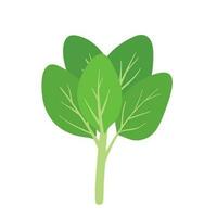 Flat Spinach Hand Drawn Vector Clip Art for Animated Green Leaves Vegetable Illustration