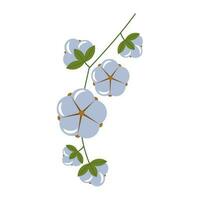 Vector illustration of flowering cotton with stem and leaves. Soft cotton. The image is suitable for packaging and textiles