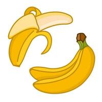 A set of cartoon drawings of bananas. Peeled banana a bunch of bananas. Vector illustration isolated on a white background