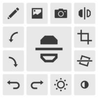 Flip vertical icon vector design. Simple set of photo editor app icons silhouette, solid black icon. Phone application icons concept. Vertically flip, edit, crop, rotate, tilt, undo, redo icons