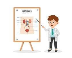 Urinary System clipart cartoon style. Doctor presenting human urinary system chart at medical seminar flat vector illustration hand drawn style. Hospital, medical, doctor conference concept